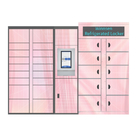 Winnsen Smart Refrigerated Cabinet Locker 240V Food Icecream Frozen Lockers
