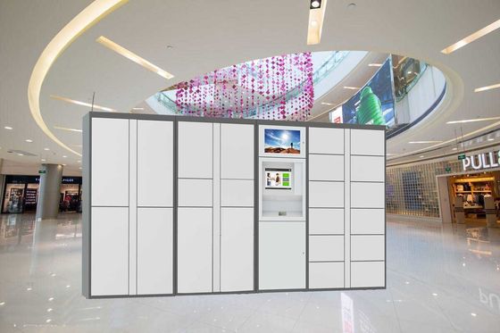 Безопасные электронные шкафчики шкафчика прачечной/химической чистки умным управлением программного обеспечения арендные