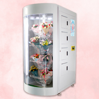 24 больницы часа автомата клиники с прозрачной полкой для цветков