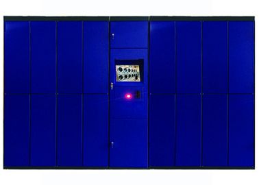 Шкафчики прачечной обслуживания собственной личности КЭ, подгонянные системы шкафчика химической чистки цифров