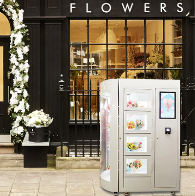 Онлайн ходя по магазинам шкафчик дистанционного управления приемистости автомата цветка